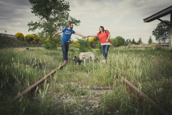 Preboda en Zamora